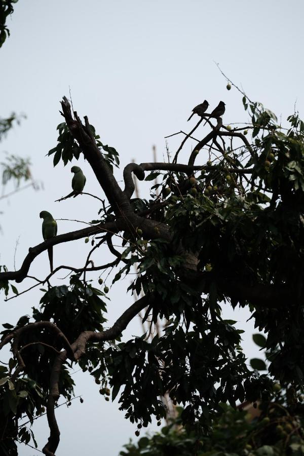 Parul - Elegant Heritage Home At The Heart Of Shantiniketan Eksteriør billede